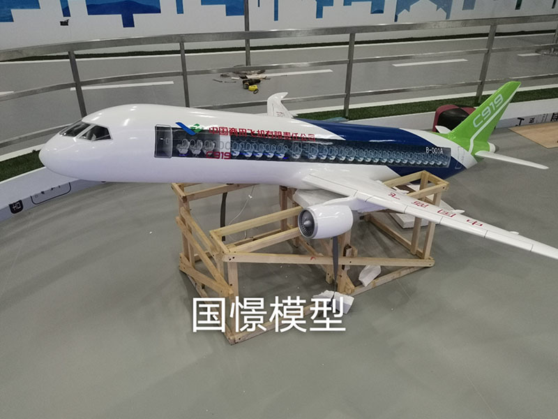周宁县飞机模型